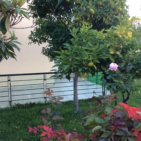 Ourania'S Apartments Kamena Vourla Ngoại thất bức ảnh