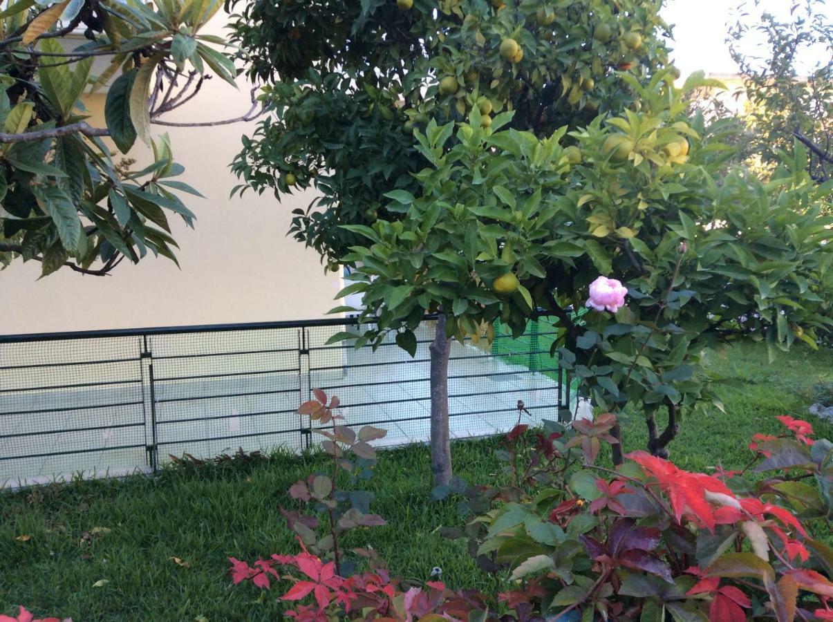 Ourania'S Apartments Kamena Vourla Ngoại thất bức ảnh